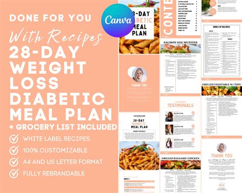 28 Day Diabetic Meal Plan With Shopping List Type 1 Type 2 Etsy