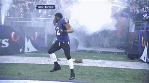 Ravens Ray GIF - Ravens Ray Lewis - Discover & Share GIFs