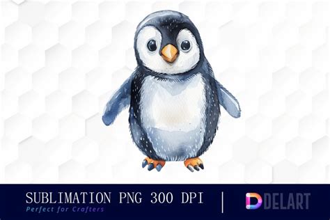 Cute Penguin Watercolor Clipart