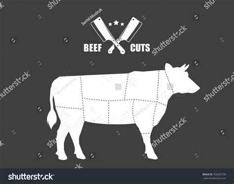 Cut Of Meat Set Poster Butcher Diagram Scheme Royalty Free Stock Vector 703665700