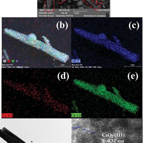 Sem Image A Edx Elemental Mappings B E Tem Image F And Hrtem Download Scientific