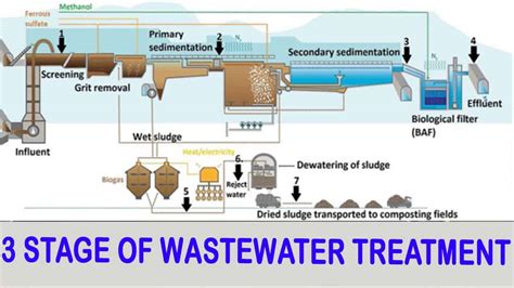 Ultraviolet Light Water Treatment Process Shelly Lighting