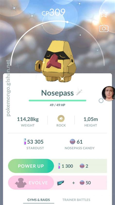 Shiny Nosepass - Pokemon Go