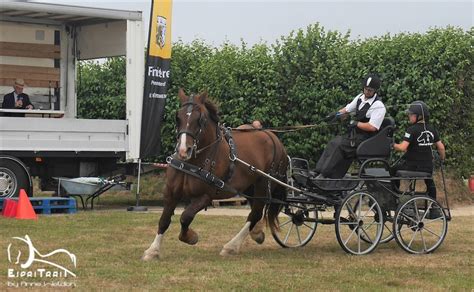 2022 18 Concours Departemental Du Cheval Breton ESPRITRAIT