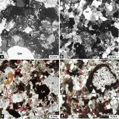 Photomicrographs Showing The Main Constituents And Diagenetic Processes