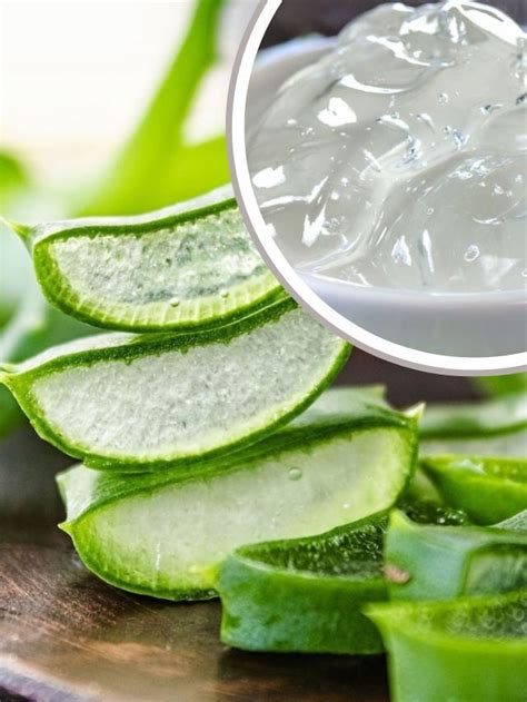 घर में बिना केमिकल के बनाएं एलोवेरा जेल जानिए आसान टिप्स Make Aloe Vera Gel At Home Without