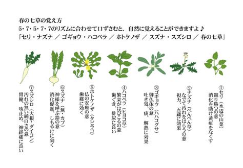 七草粥の時期や由来や意味！作り方や献立 豆知識press