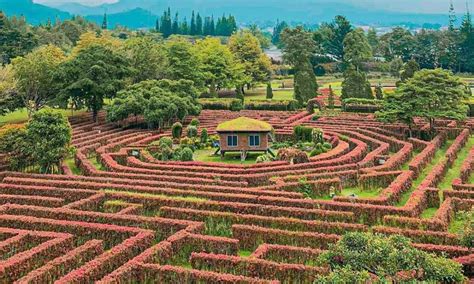 Taman Bunga Nusantara: Spot Menarik, Harga Tiket Masuk, dan Lokasinya - Parboaboa