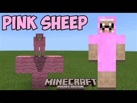 How To Summon Pink Sheep In Minecraft Pe Youtube