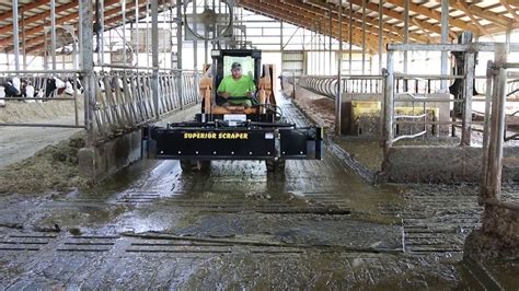 Superior Scraper Fully Automatic Manure Scraper Youtube