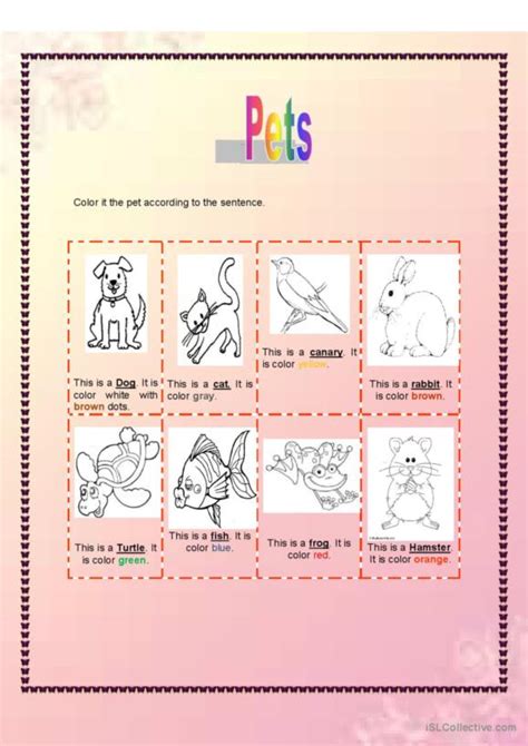 338 Pets English Esl Worksheets Pdf And Doc