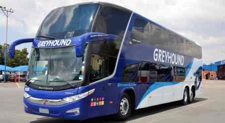 Greyhound Bus SA Contact Number, Timetable, Prices - SAFARIBAY