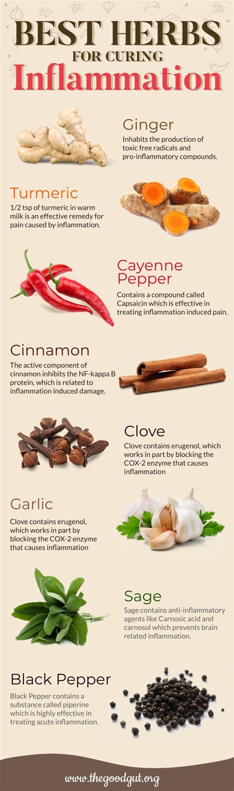 Anti Inflammatory Foods The Complete Guide To Treating Inflammation