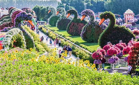 History of Dubai Miracle Garden - From Concept to Reality