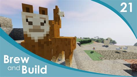 Minecraft Brew And Build Llama Land Episode 21 Youtube