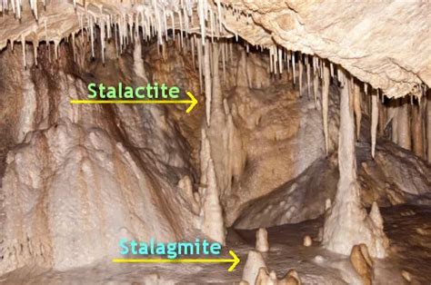 Terbentuknya Stalaktit Dan Stalagmit Di Gua Guru Geografi