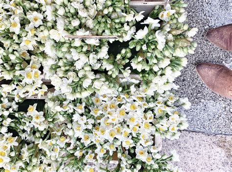 Finding Quiet London - Changing Pages