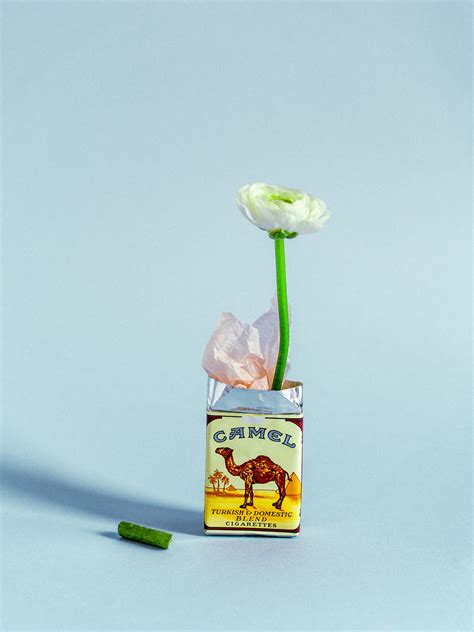 Pop Art Still Life Behance