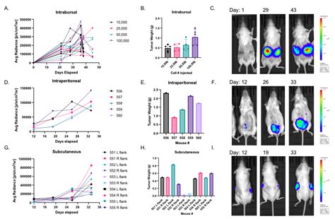 Cancers Free Full Text Development And Characterization Of A