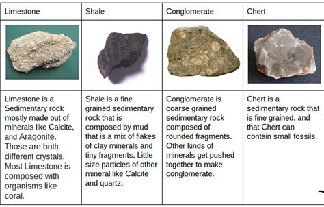 Sedimentary Rock Types