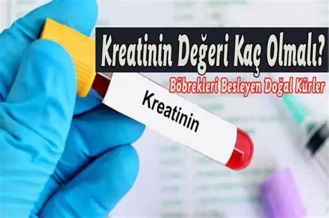 Kreatinin Nedir Kreatinin Ka Olursa Tehlikelidir G Ncel