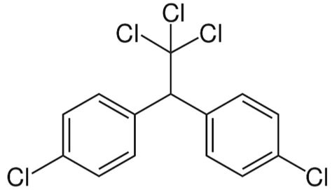 Full Form of DDT | FullForms