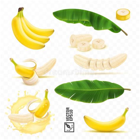 D Conjunto Realista De Vetores De Bananas Frutas Bando De Bananas