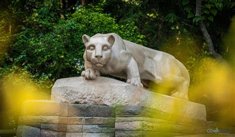 fraternity rankings penn state