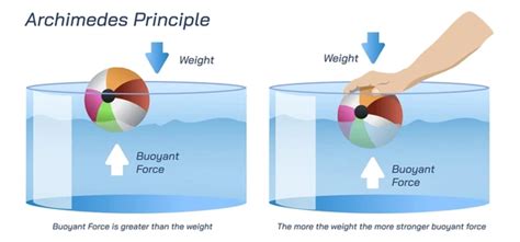 Archimedes Principle: Statement, Derivation, Application, Archimedes ...