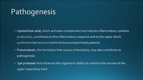 Ppt Streptococcus Pneumoniae Powerpoint Presentation Free Download Id2361806