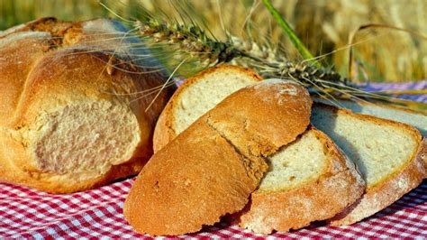 White Bread And Pastries For Breakfast Reduce Attractiveness Curious Daily News