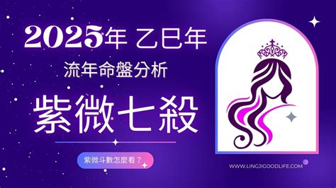 2025年 乙巳蛇年 「紫微七殺」在流年命宮運勢分析：紫微斗數怎麼看？ 靈姬紫微