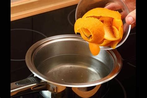 Como Eliminar O Cheiro De Gordura Da Cozinha Dicas Tricas