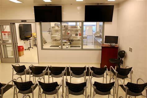 dcs secret covid morgue washingtonian