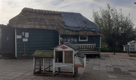 Kinderboerderij Krijgt Toch Nieuw Rieten Dak Al Het Nieuws Uit Midden