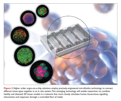 D Cell Culture Engineering Composable Disease Tunable D Human