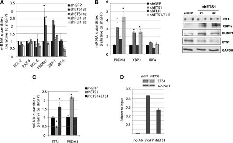 ETS1 Regulates Genes Involved In B Cell Differentiation A RNA Levels