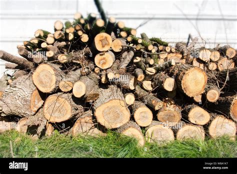 Wooden Logs Stacked Stock Photo Alamy