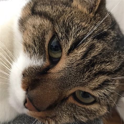 agikgqoeqontevuxhmceamjkdmyijtklidwdis   cxffffff  rj