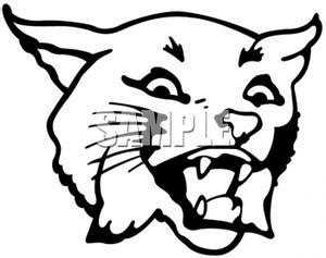 Bobcat Face Drawing at GetDrawings | Free download