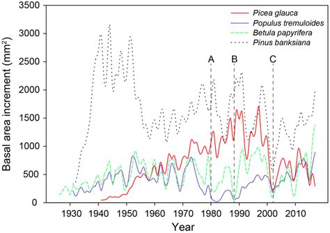 Mean Annual Basal Area Increments For The Four Common Species At The