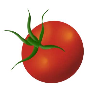 Fresh Red Tomatoes Fresh Tomatoes Tomato Whole Tomatoes Png