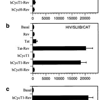 Schematic Representation Of Three Modes Of Recruitment Of CycT1P TEFb