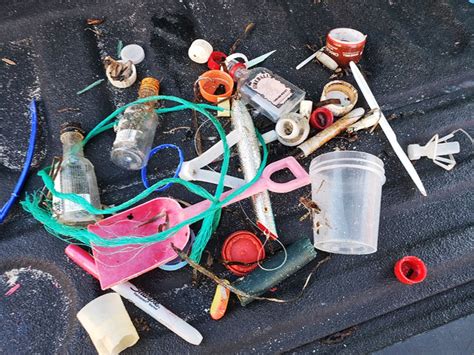 Marine Debris November Fishers Island Conservancy