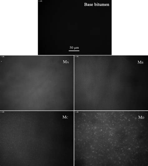 Fluorescence Micrographs Of Base Bitumen And Modified Bitumens