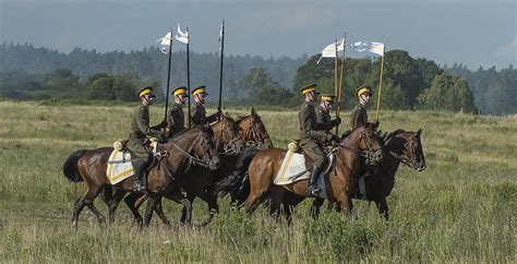 Horses Cavalry Soldier Bridle Bay The Horse Cavalryman Uniform