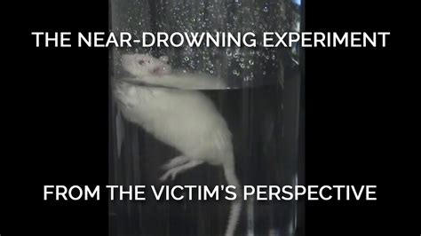 The Near Drowning Experiment From The Victims Perspective YouTube