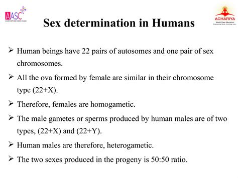 Chromosomal Theory Of Inheritance Ppt