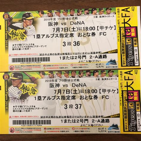 阪神中日戦 甲子園球場 チケット 2枚 V Carehk