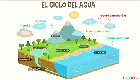 EL CICLO DEL AGUA ETAPAS Y CARACTERÍSTICAS